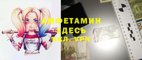 гидра Богородицк