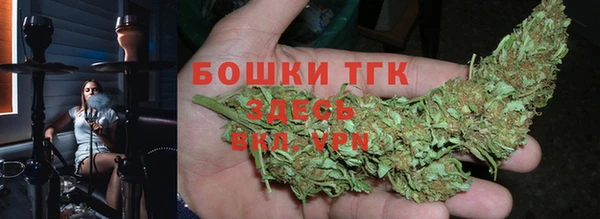 гидра Богородицк