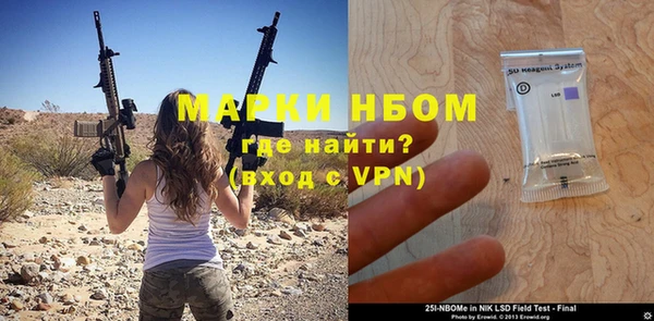 гидра Богородицк