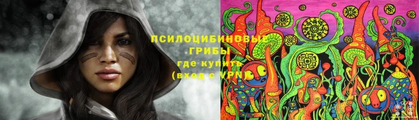 гидра Богородицк