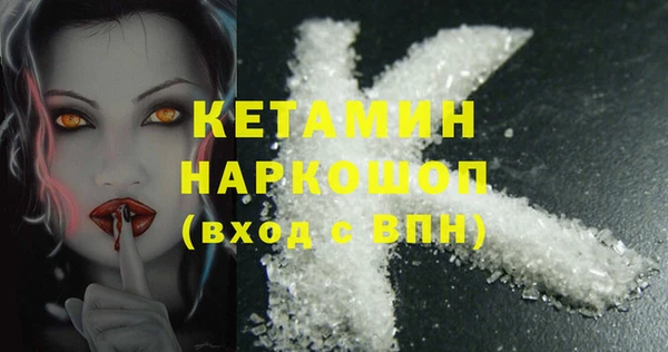 гидра Богородицк