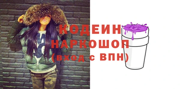 индика Беломорск