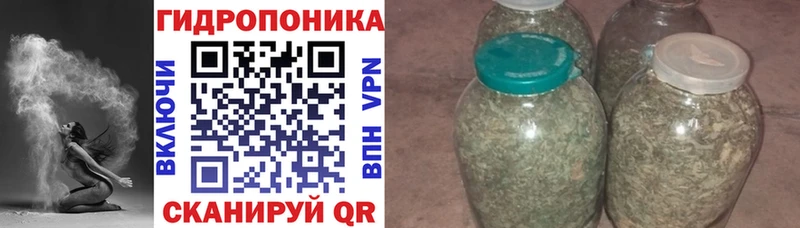 Бошки Шишки THC 21% Кисловодск