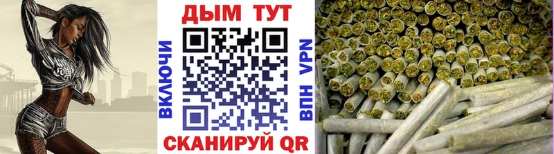 Каннабис семена  купить закладку  OMG ТОР  Кисловодск 